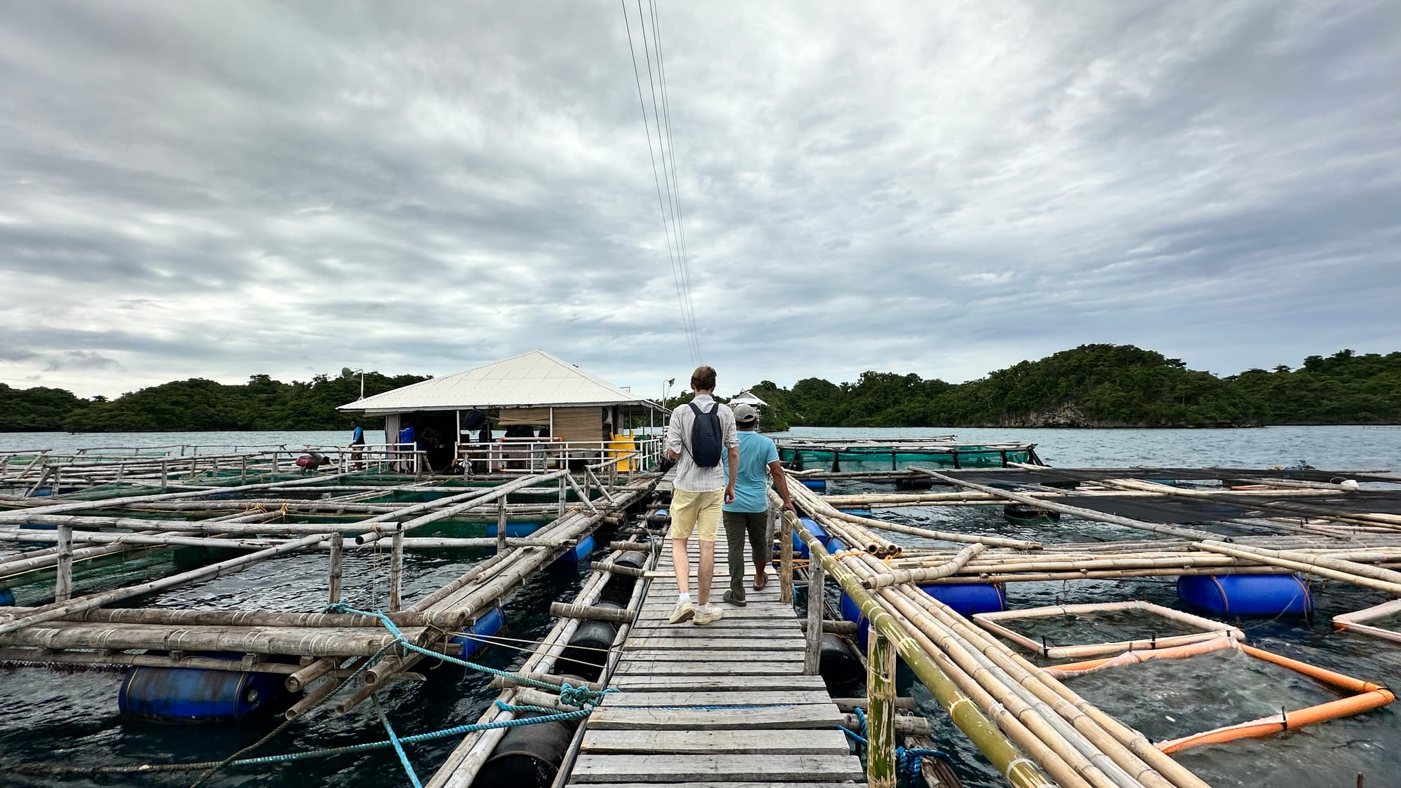 Visiting a floating cage farm in the Philippines