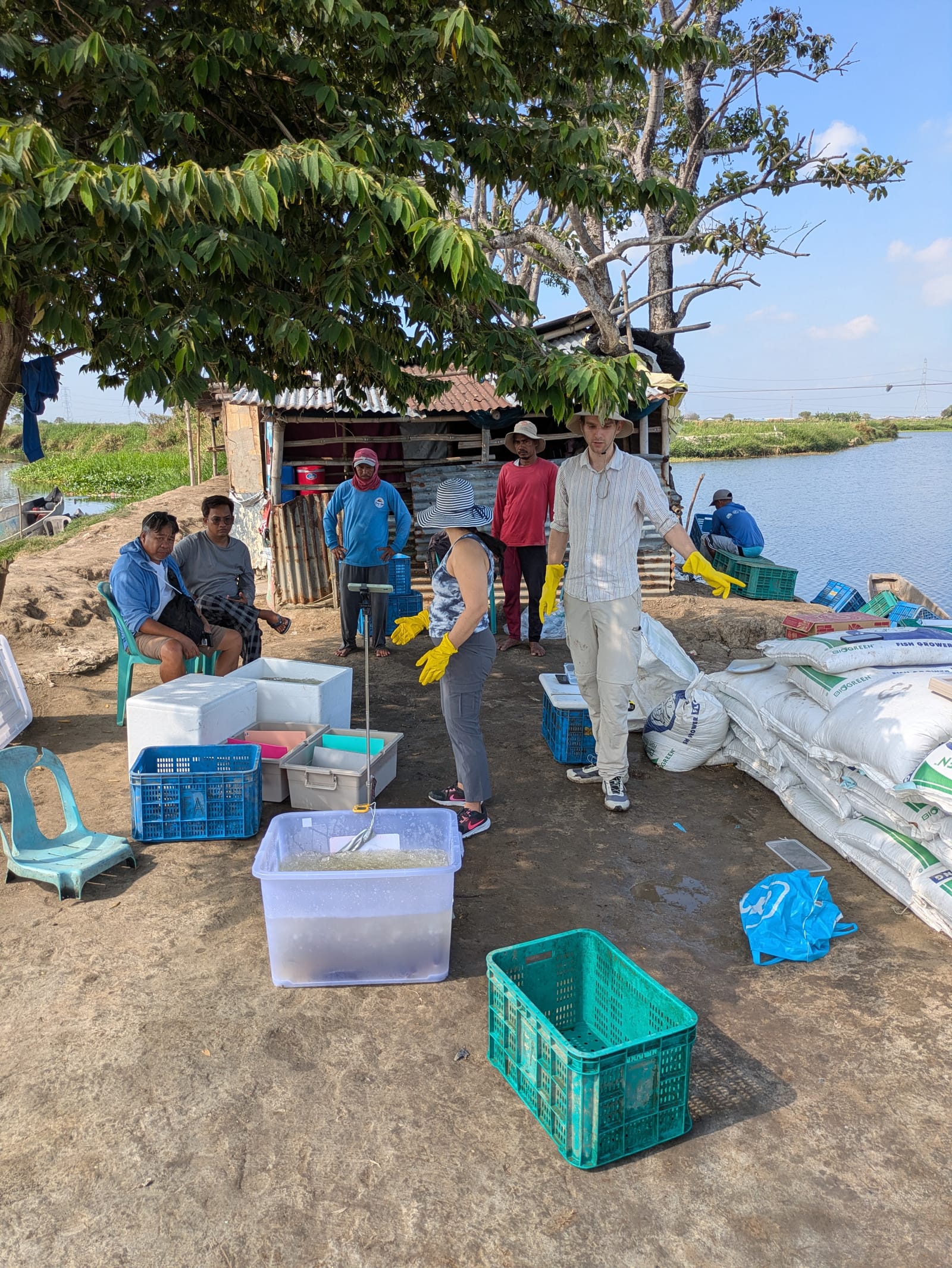 Trial setup at a fish farm in the Philippines, with the Scale Welfare team and local producers