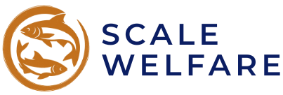 Scale Welfare